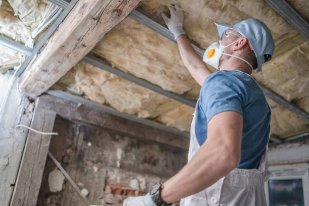 Best Types of Insulation in Ddleville, MI