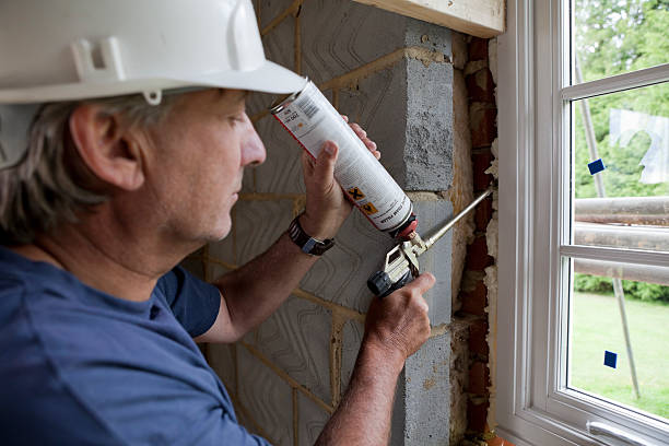 Best Insulation Installation Services in Ddleville, MI