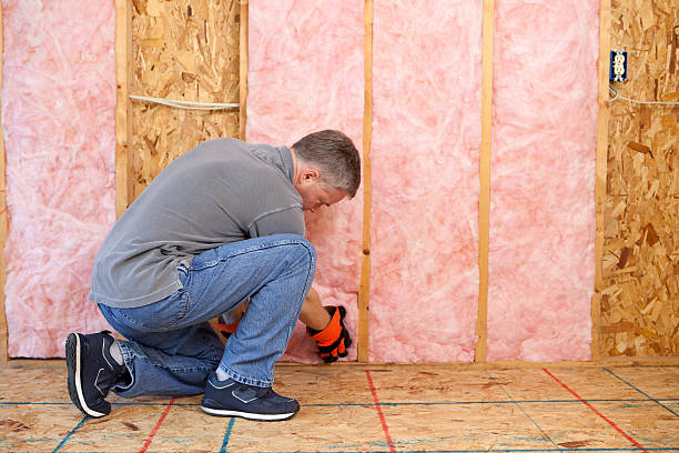 Best Insulation for Specific Applications in Ddleville, MI