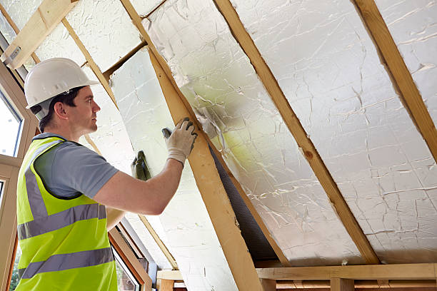 Best Insulation Installation Services in Ddleville, MI
