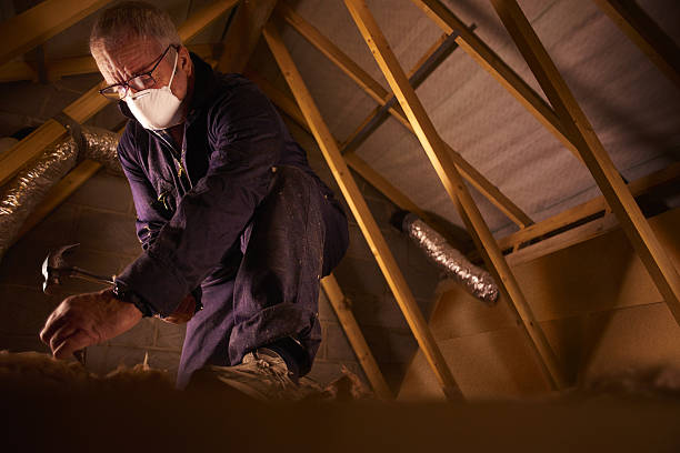 Best Specialty Insulation in Ddleville, MI
